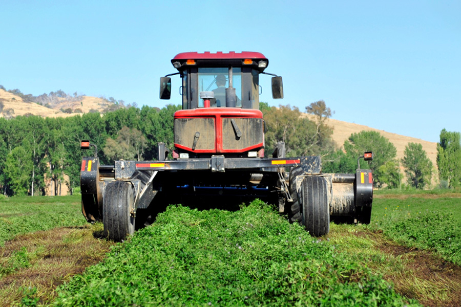 Australian Mint Oils & Flavours tractor - producer-compounder-supplier of premium mint oils and flavours.