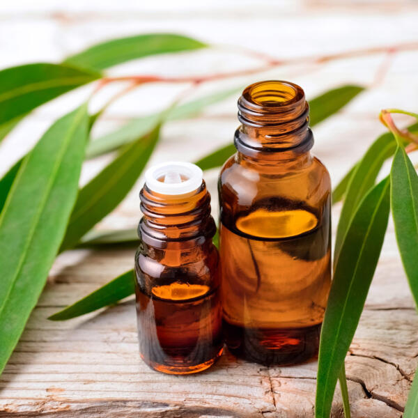 Eucalyptus oil by Australian Mint Oils & Flavours